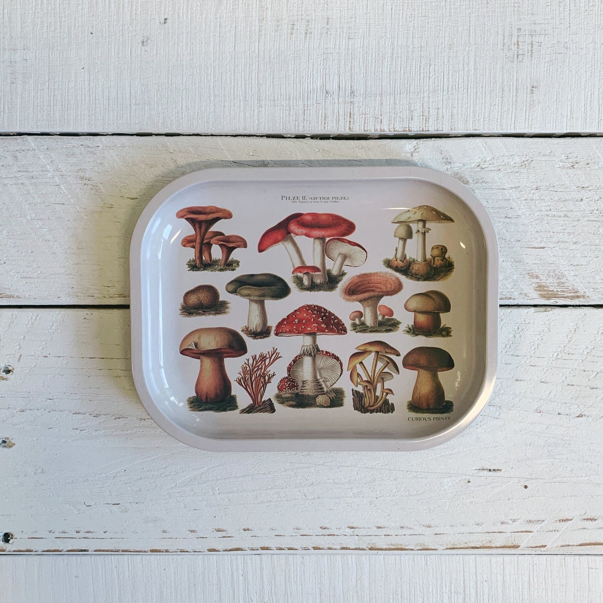 Small Metal Tan Mushroom Ritual Tray | Vintage Fungi Print Rolling Catch-all Tray | 5"x7"