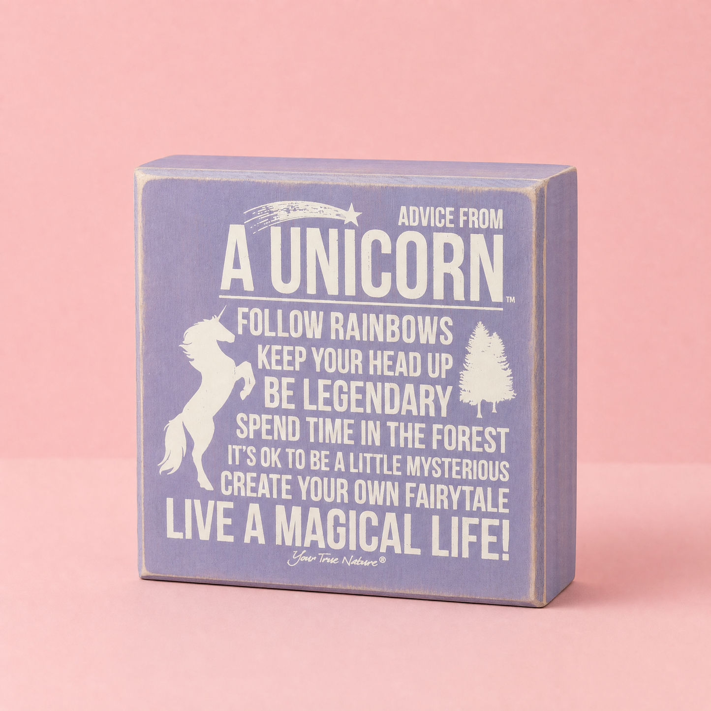 Snarky Quote Wooden Box Signs - 20+ Options!