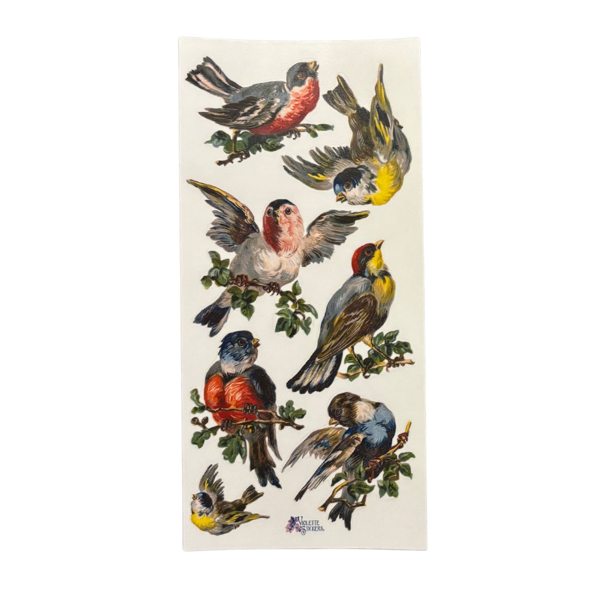 Song Birds Clear Stickers | 4" x 8" | 2 Sheets-Violette Stickers-The Bullish Store