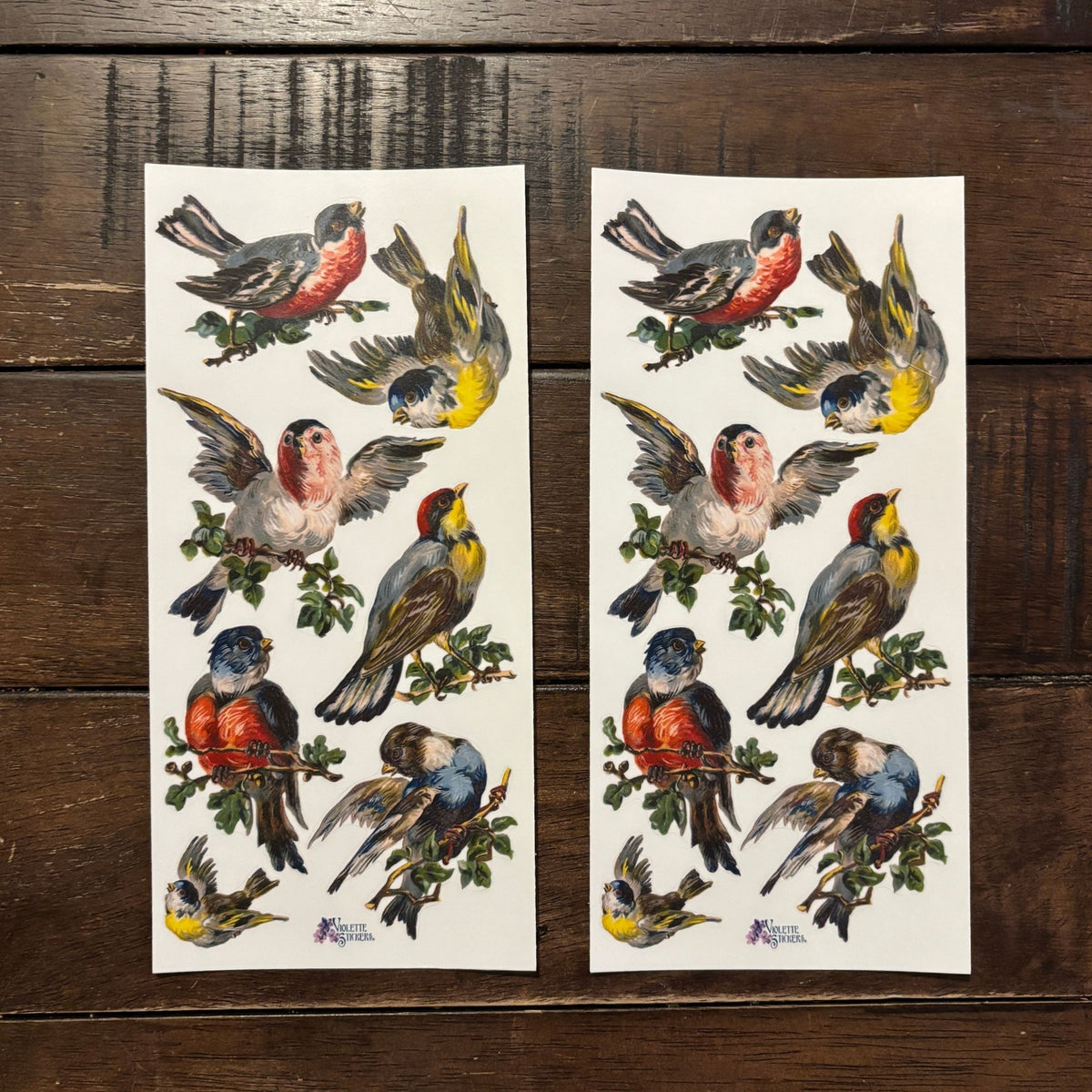 Song Birds Clear Stickers | 4" x 8" | 2 Sheets-Violette Stickers-The Bullish Store