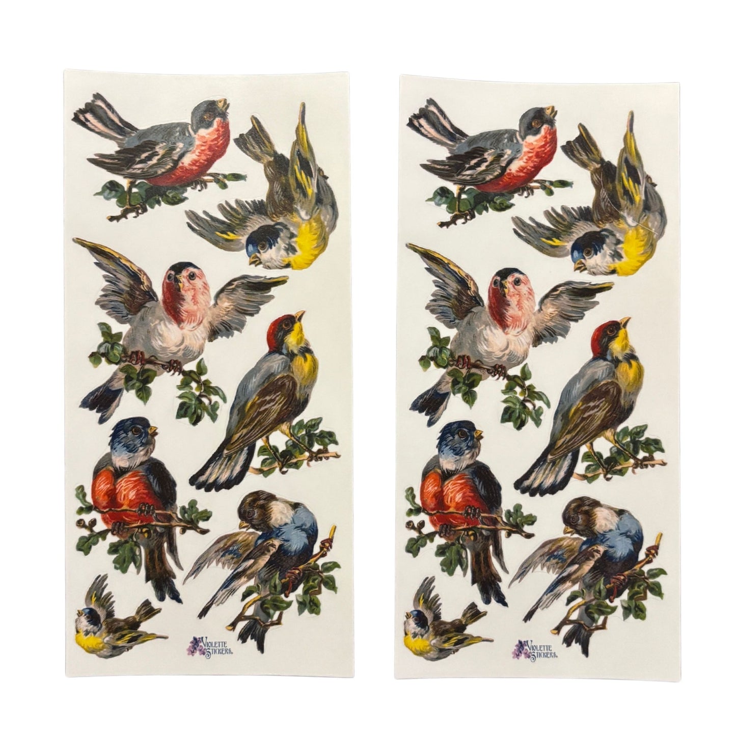 Song Birds Clear Stickers | 4" x 8" | 2 Sheets-Violette Stickers-The Bullish Store