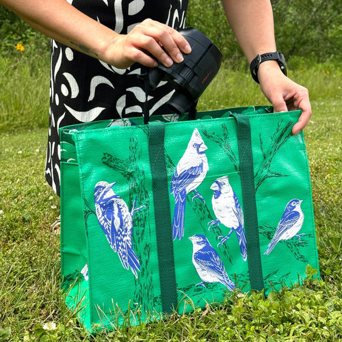 Songbird Shoulder Tote Bag | Carry-all Zippered Recycle Bag | 15" x 11" | BlueQ at GetBullish