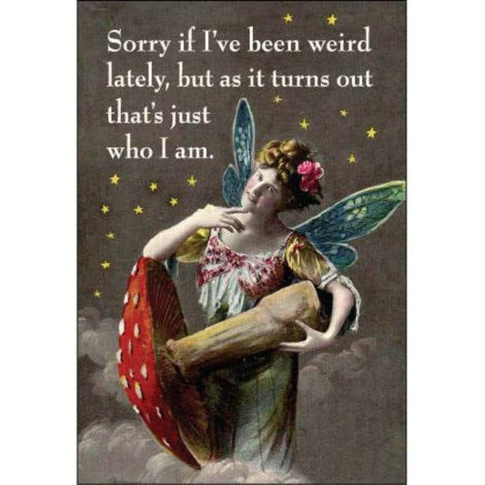 Sorry If I've Been Weird Lately Fairy Rectangular Magnet | Refrigerator Magnetic Surface Decor-Ephemera-The Bullish Store