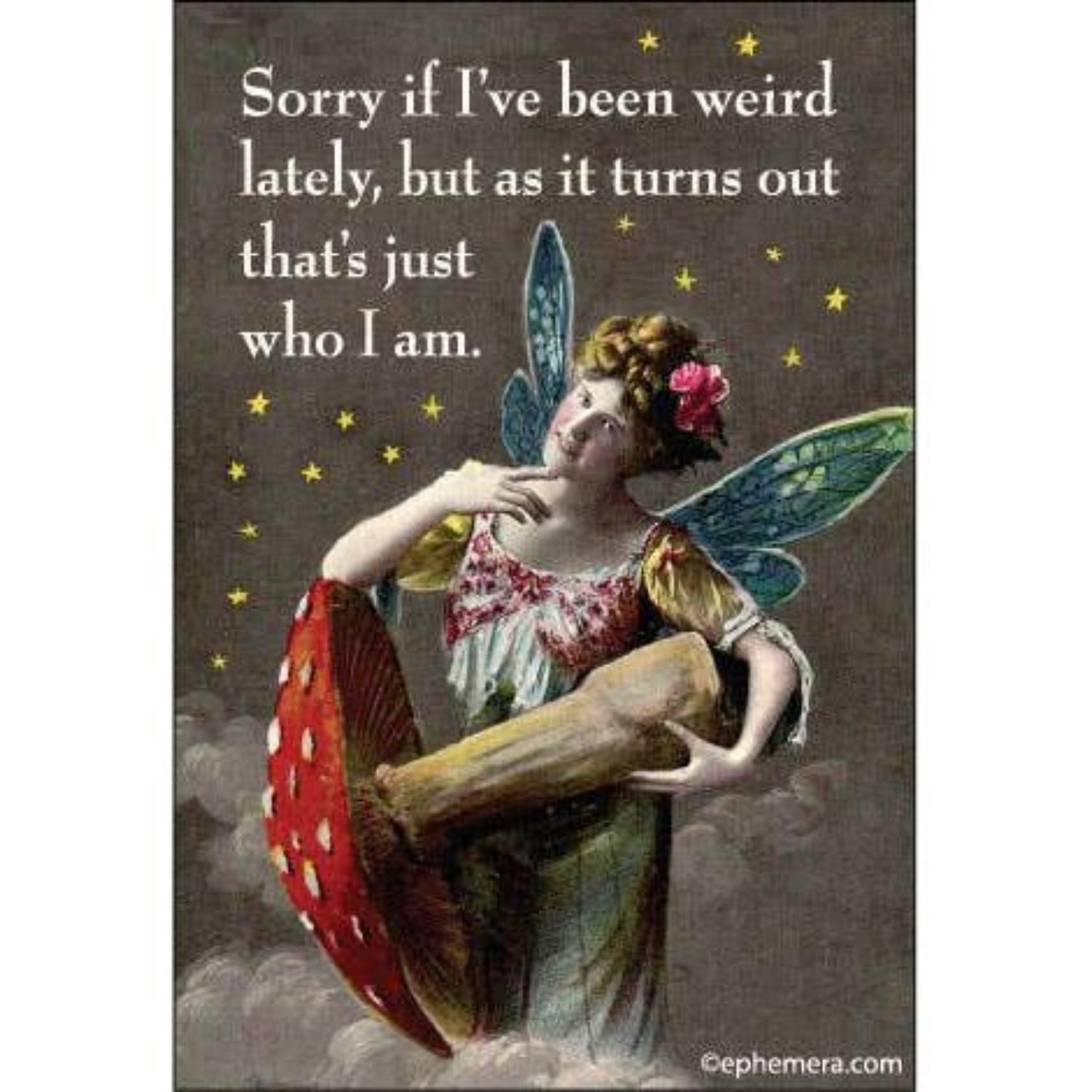 Sorry If I've Been Weird Lately Fairy Rectangular Magnet | Refrigerator Magnetic Surface Decor-Ephemera-The Bullish Store