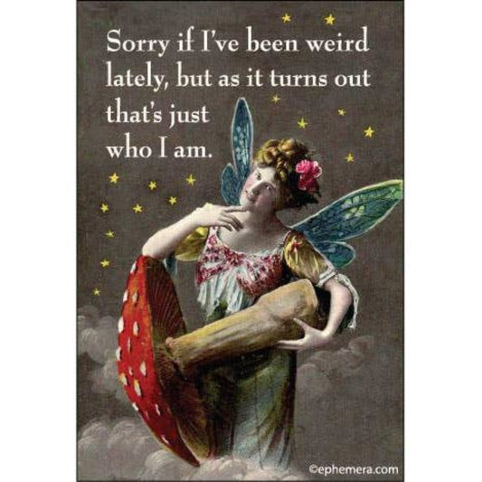 Sorry If I've Been Weird Lately Fairy Rectangular Magnet | Refrigerator Magnetic Surface Decor-Ephemera-The Bullish Store