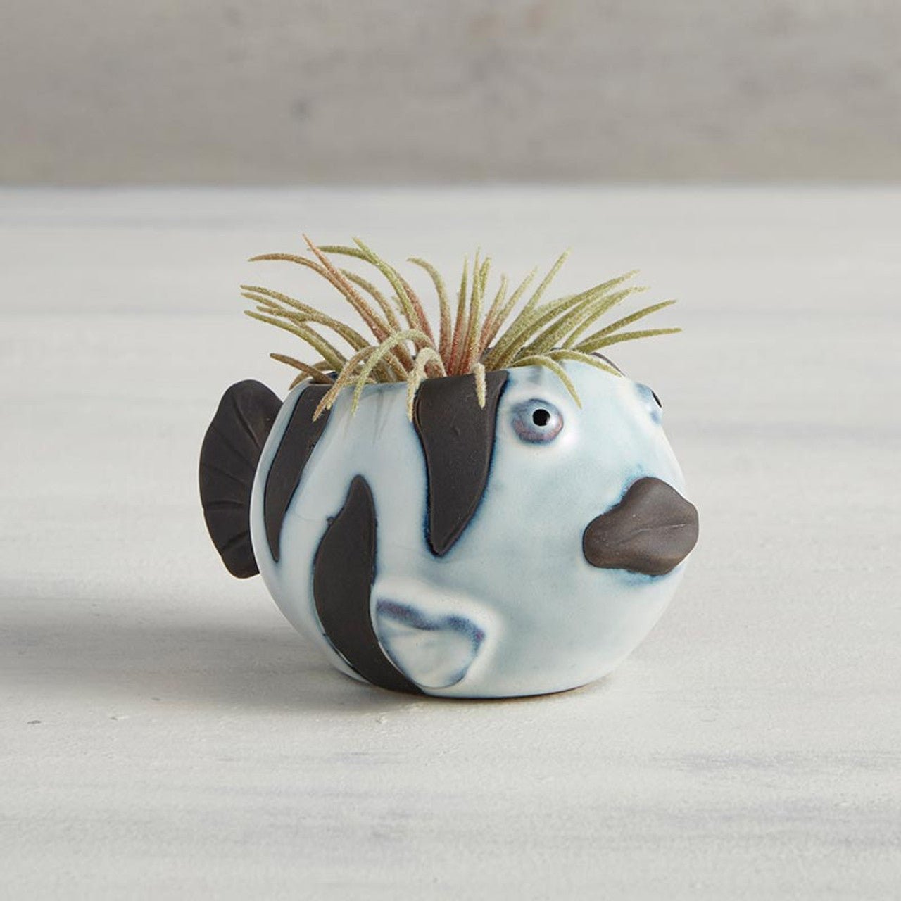 Striped Fish Mini Plant Pot | Succulent Planter | 2.2" Tall