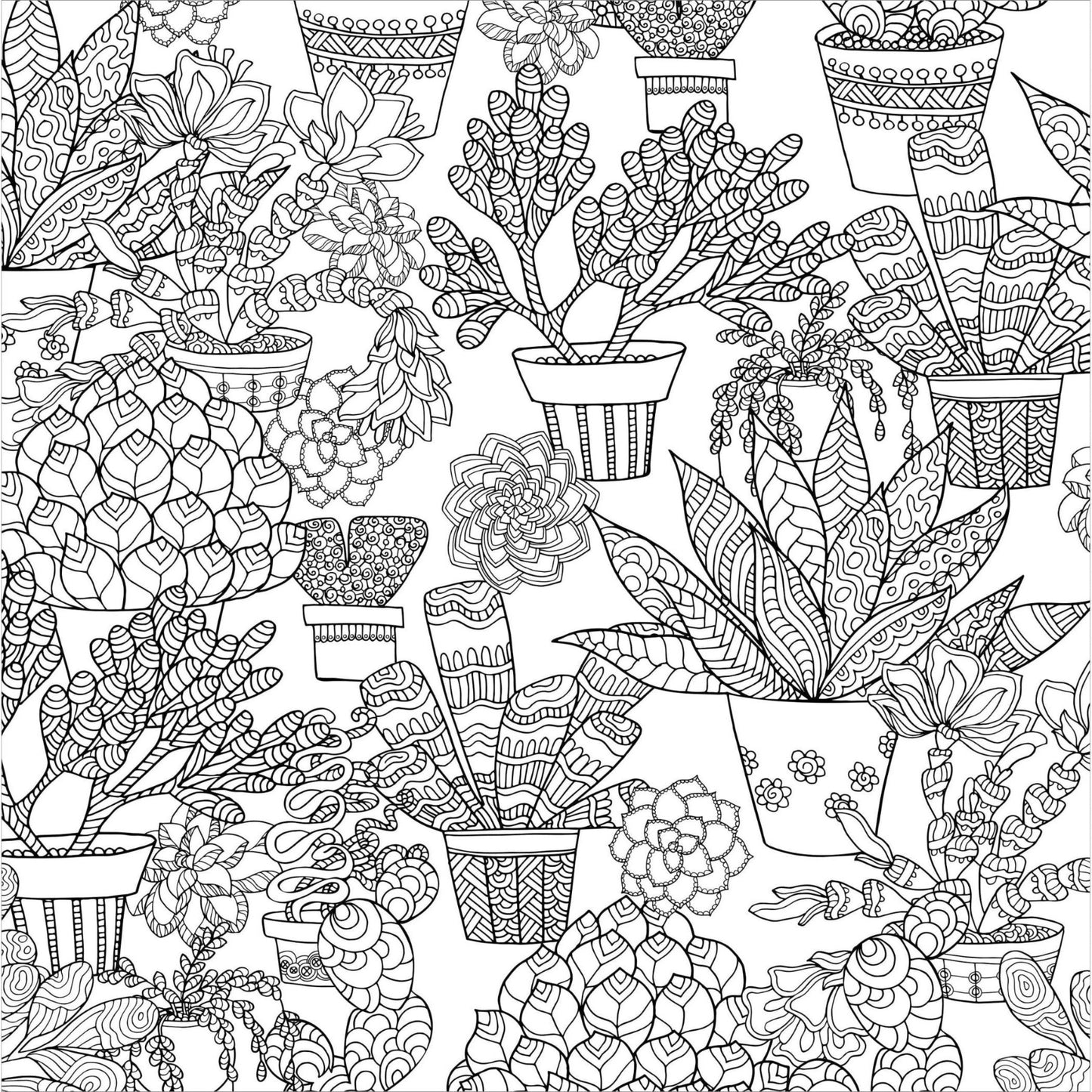 Succulents Adult Coloring Book | 31 Relaxing Plants Illustrations