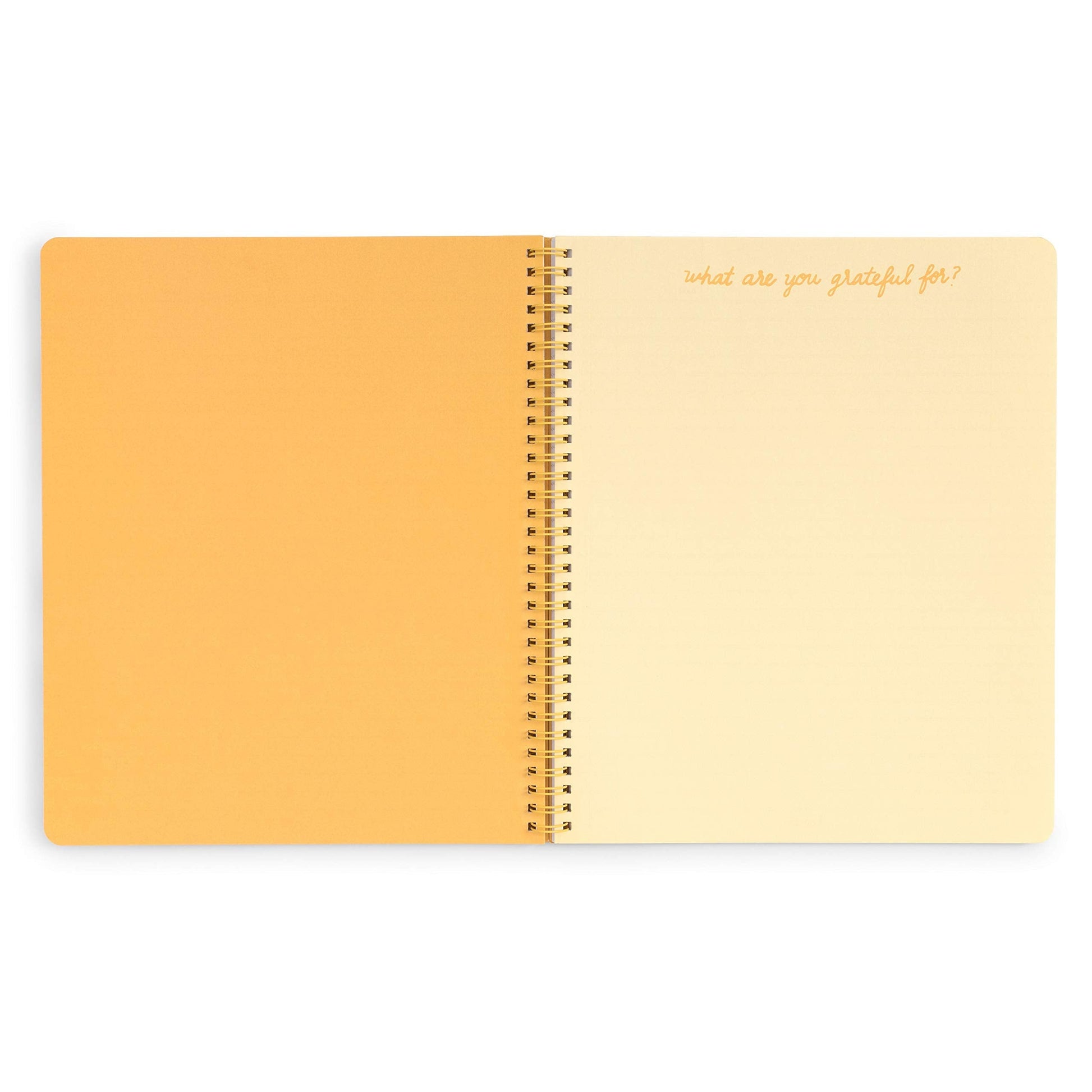 Sunshine Superbloom Rough Draft Large Notebook
