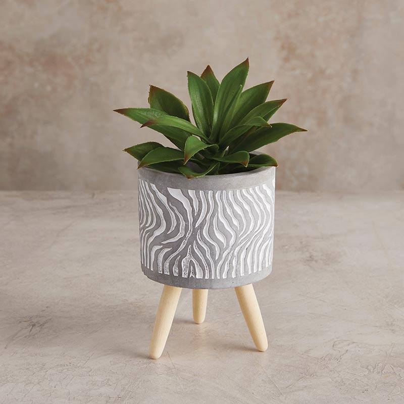 Swirl Wood Leg Pot | Cement Planter | 5.5" Tall