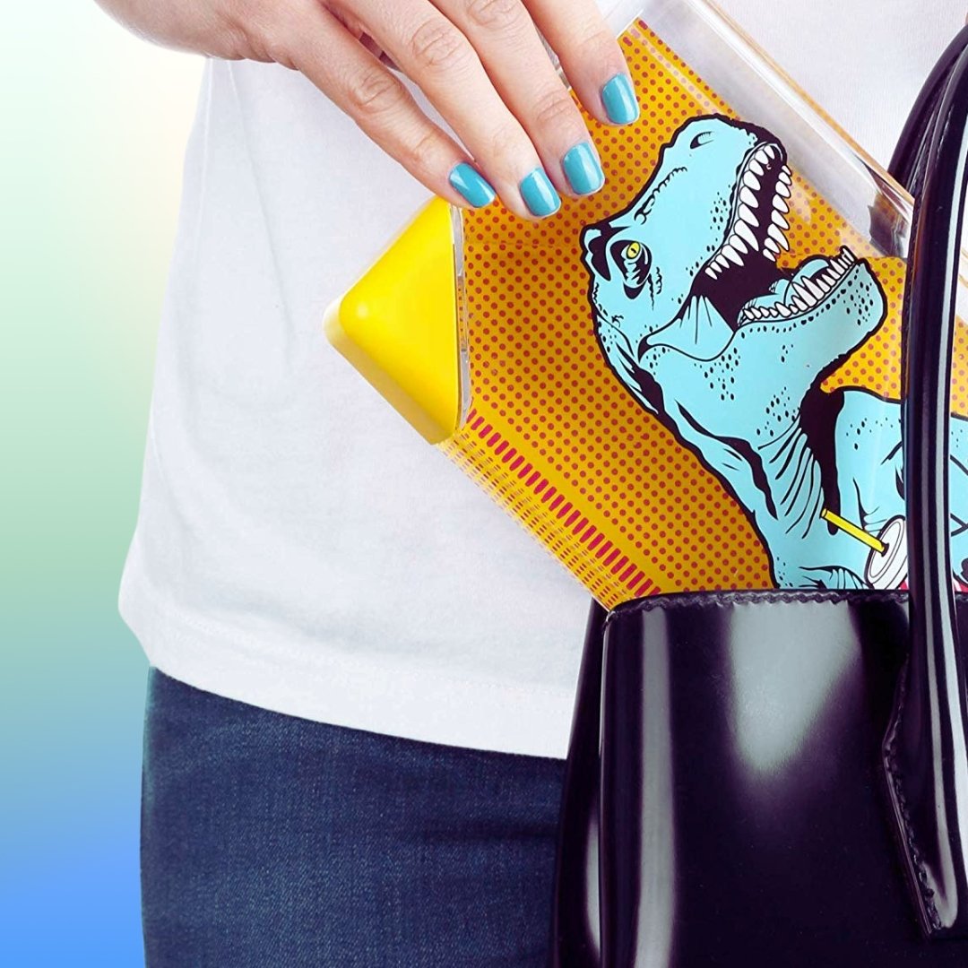 T-Rex Flask Style Pop Art Water Bottle | Flat Profile Fits in Handbag | BPA Free and Dishwasher Safe