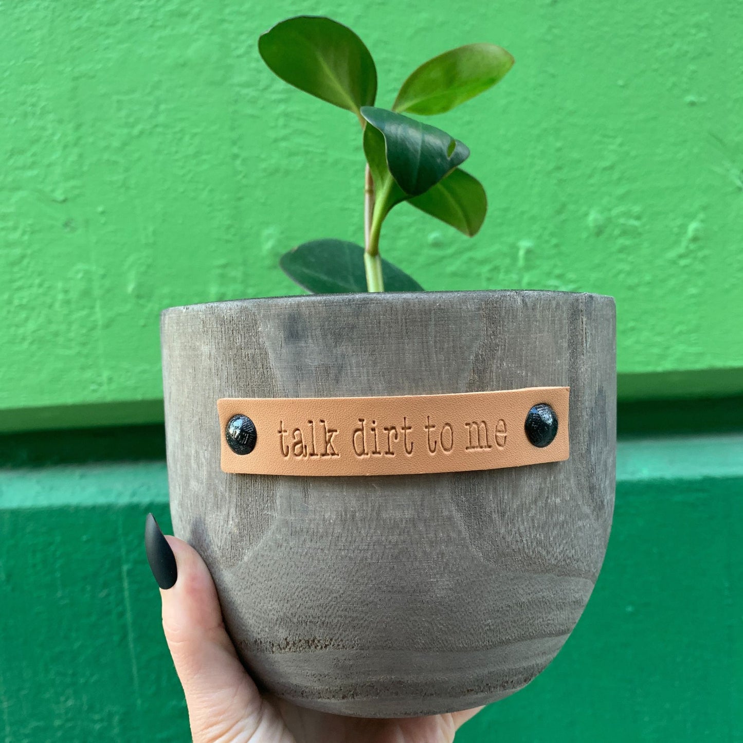 Talk Dirt To Me Paulownia Wood Planter | 5" Tall