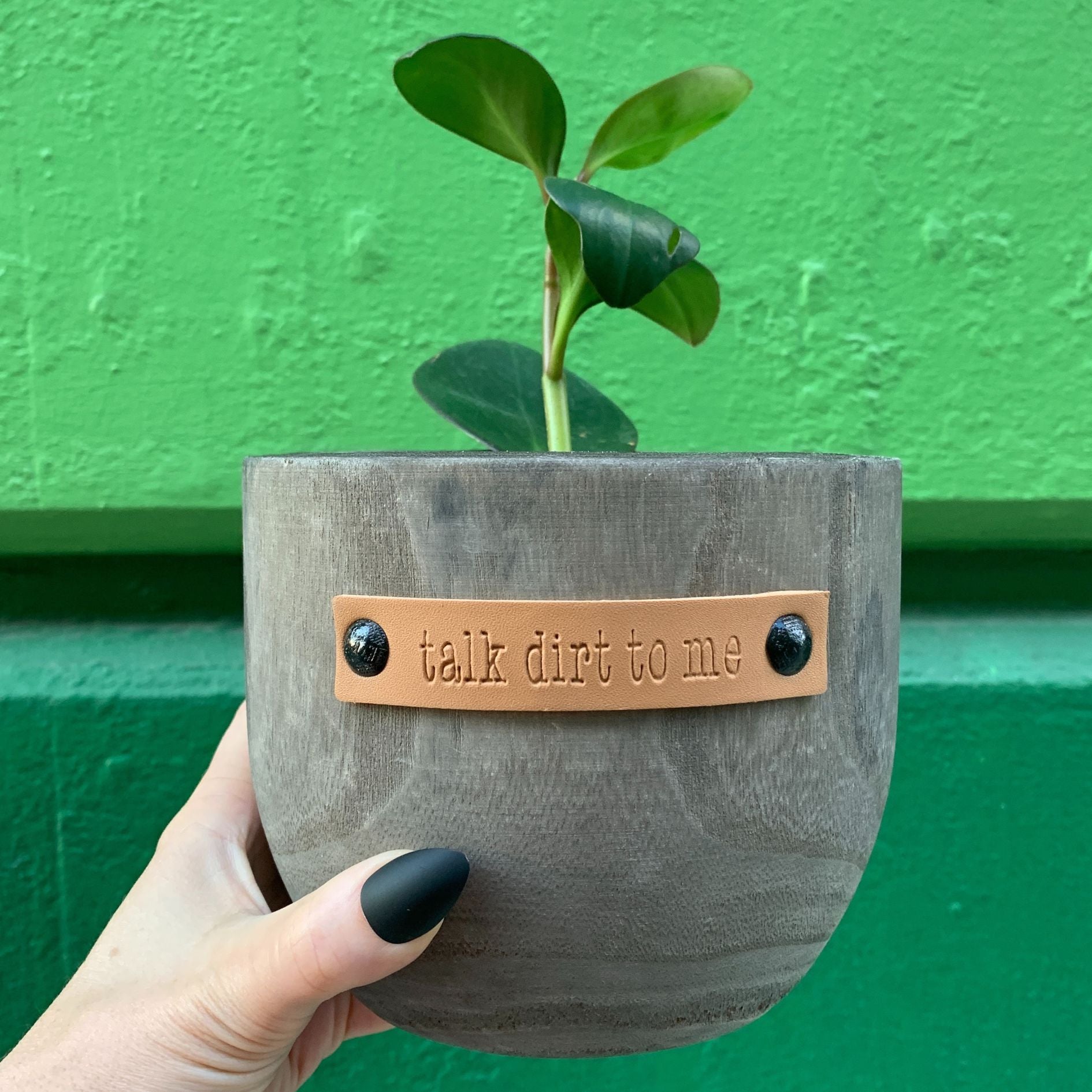 Talk Dirt To Me Paulownia Wood Planter | 5" Tall