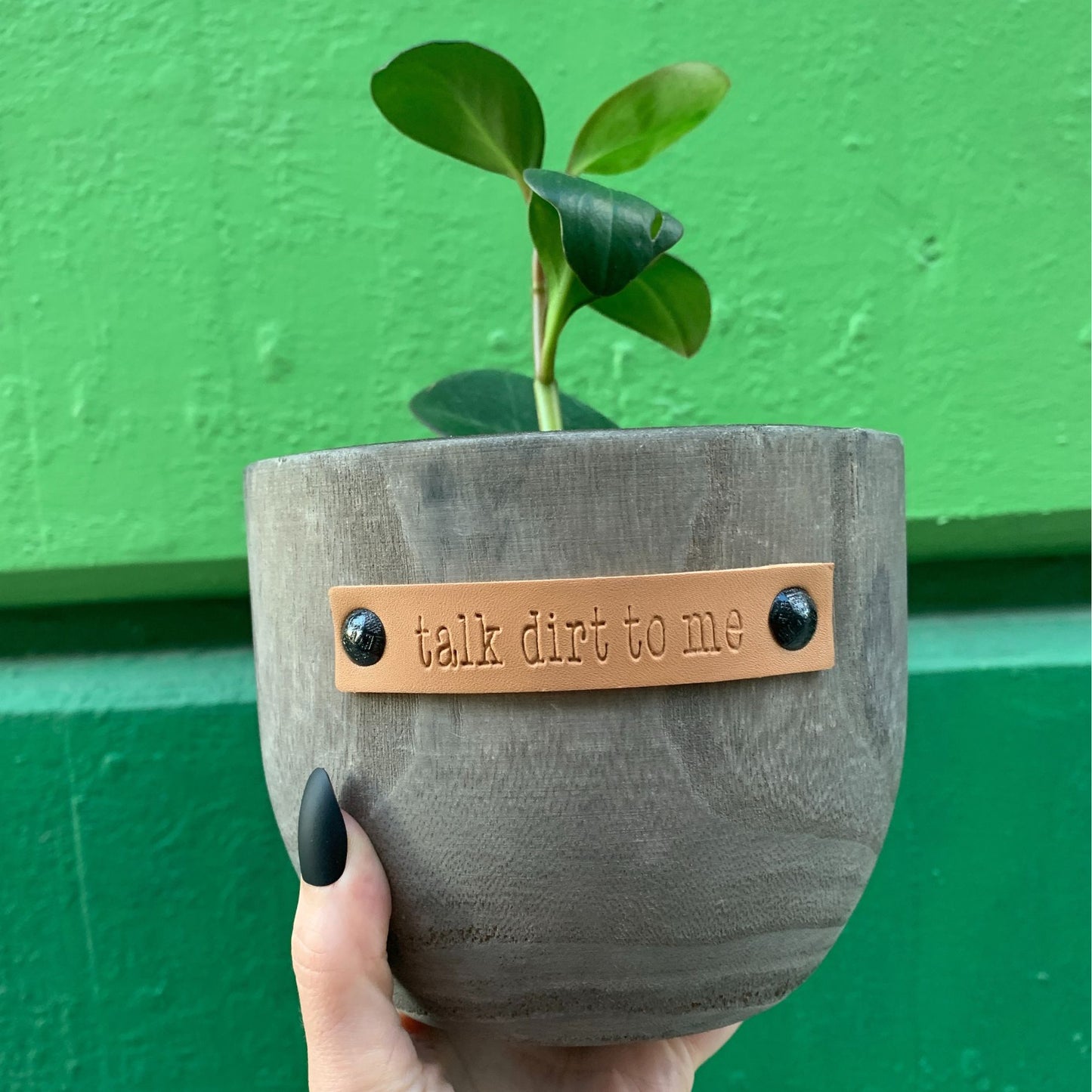 Talk Dirt To Me Paulownia Wood Planter | 5" Tall