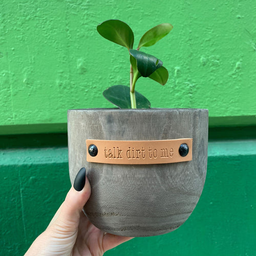 Talk Dirt To Me Paulownia Wood Planter | 5" Tall