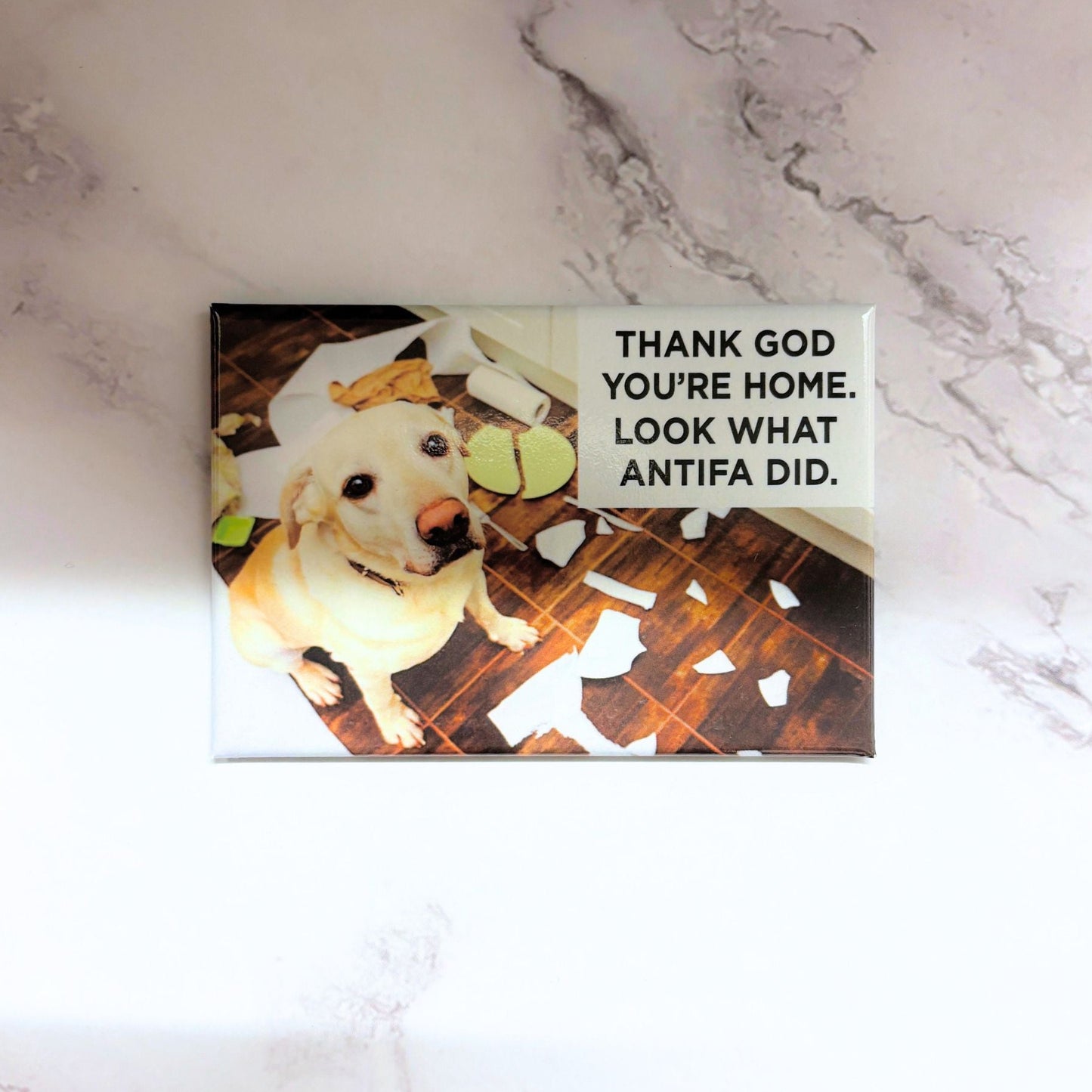 Thank God You're Home Look at What Antifa Did Dog Magnet | Humor Fridge Rectangular Magnet