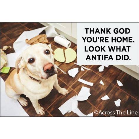 Thank God You're Home Look at What Antifa Did Dog Magnet | Humor Fridge Rectangular Magnet