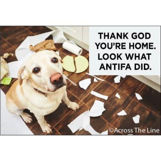 Thank God You're Home Look at What Antifa Did Dog Magnet | Humor Fridge Rectangular Magnet-Ephemera-The Bullish Store