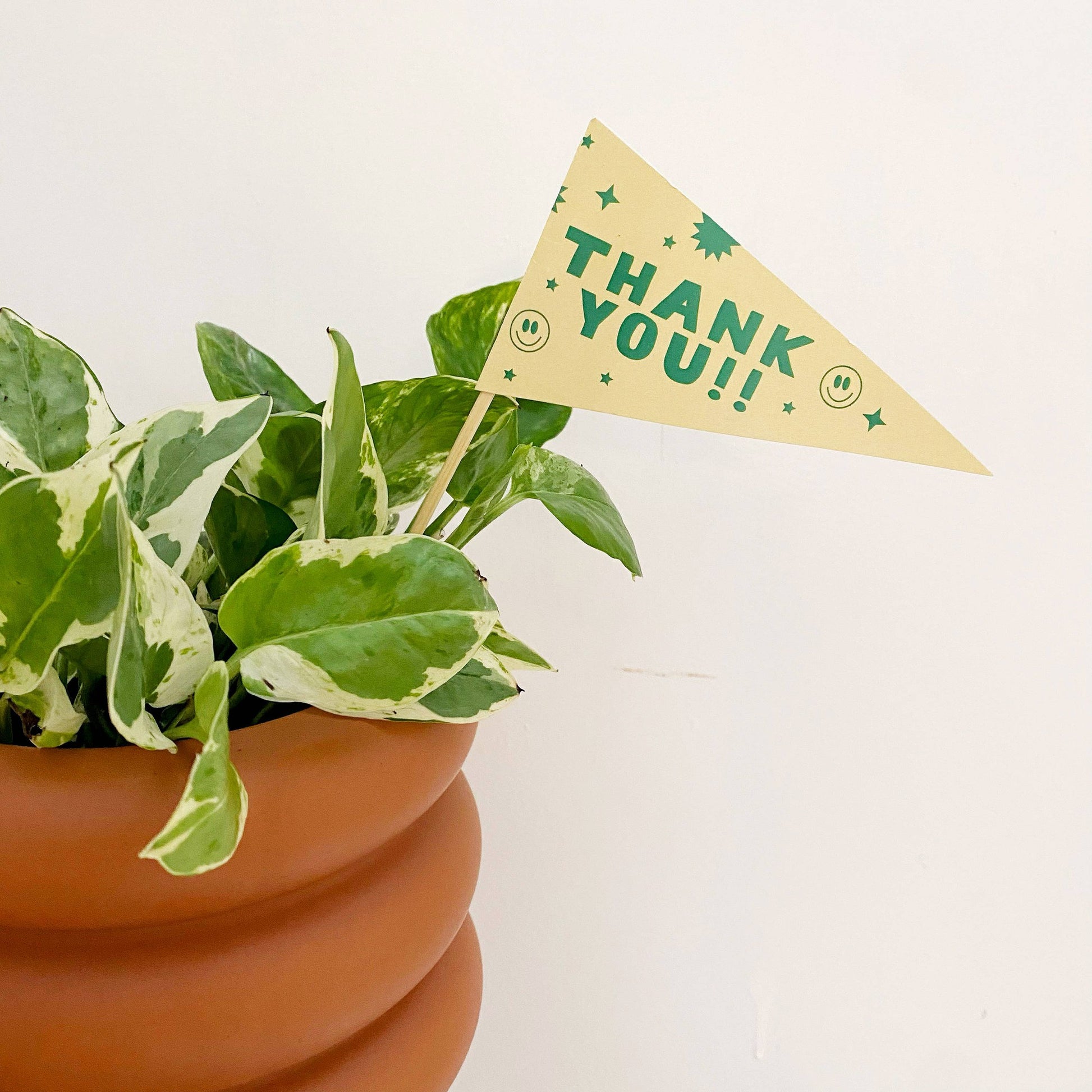 Thank You Pennant Flag | Handmade Plant or Cake Topper