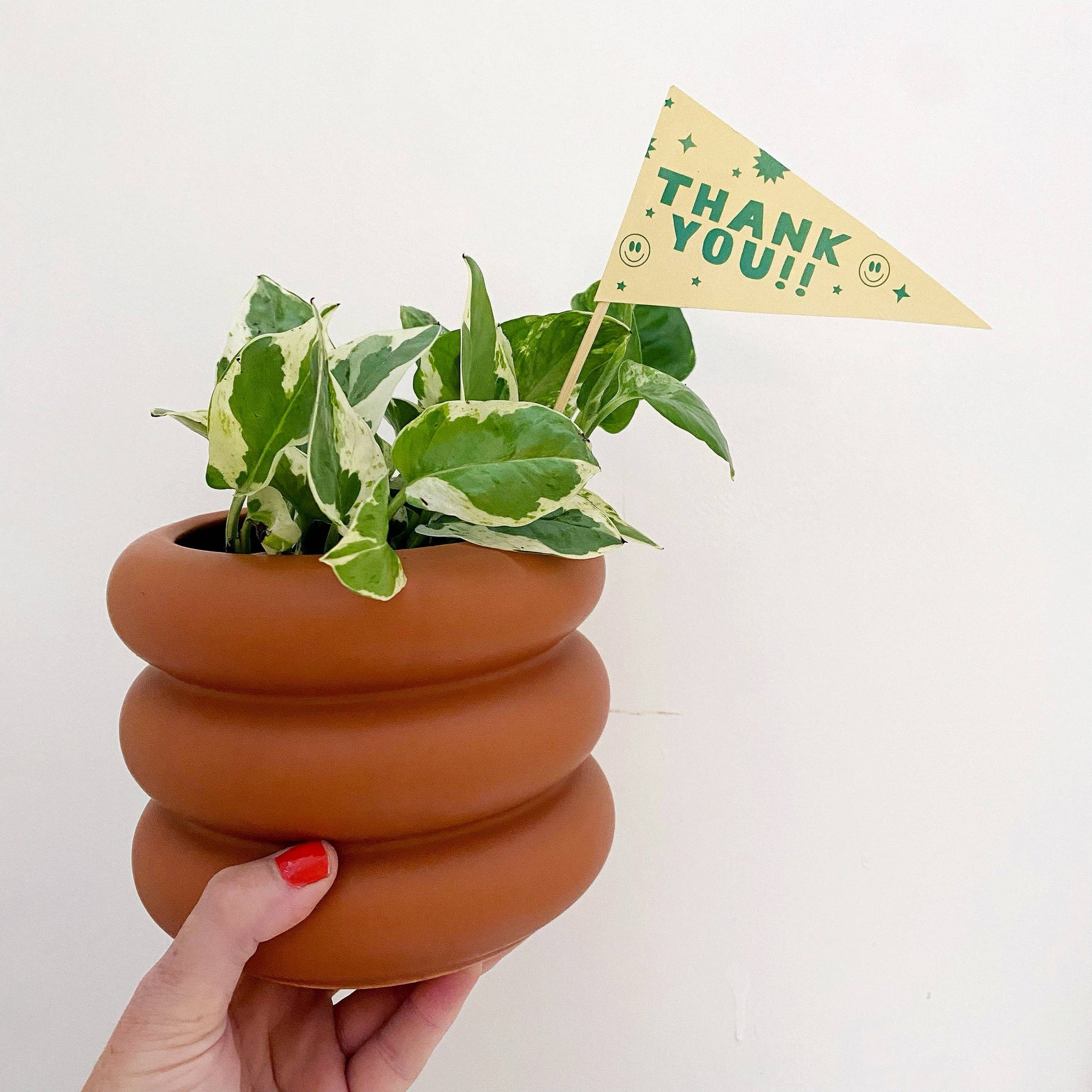 Thank You Pennant Flag | Handmade Plant or Cake Topper