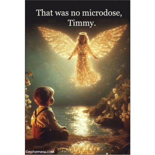 That Was No Microdose Timmy Rectangular Magnet | Fridge Magnetic Surface Magnet Decor | 3" x 2"-Ephemera-The Bullish Store