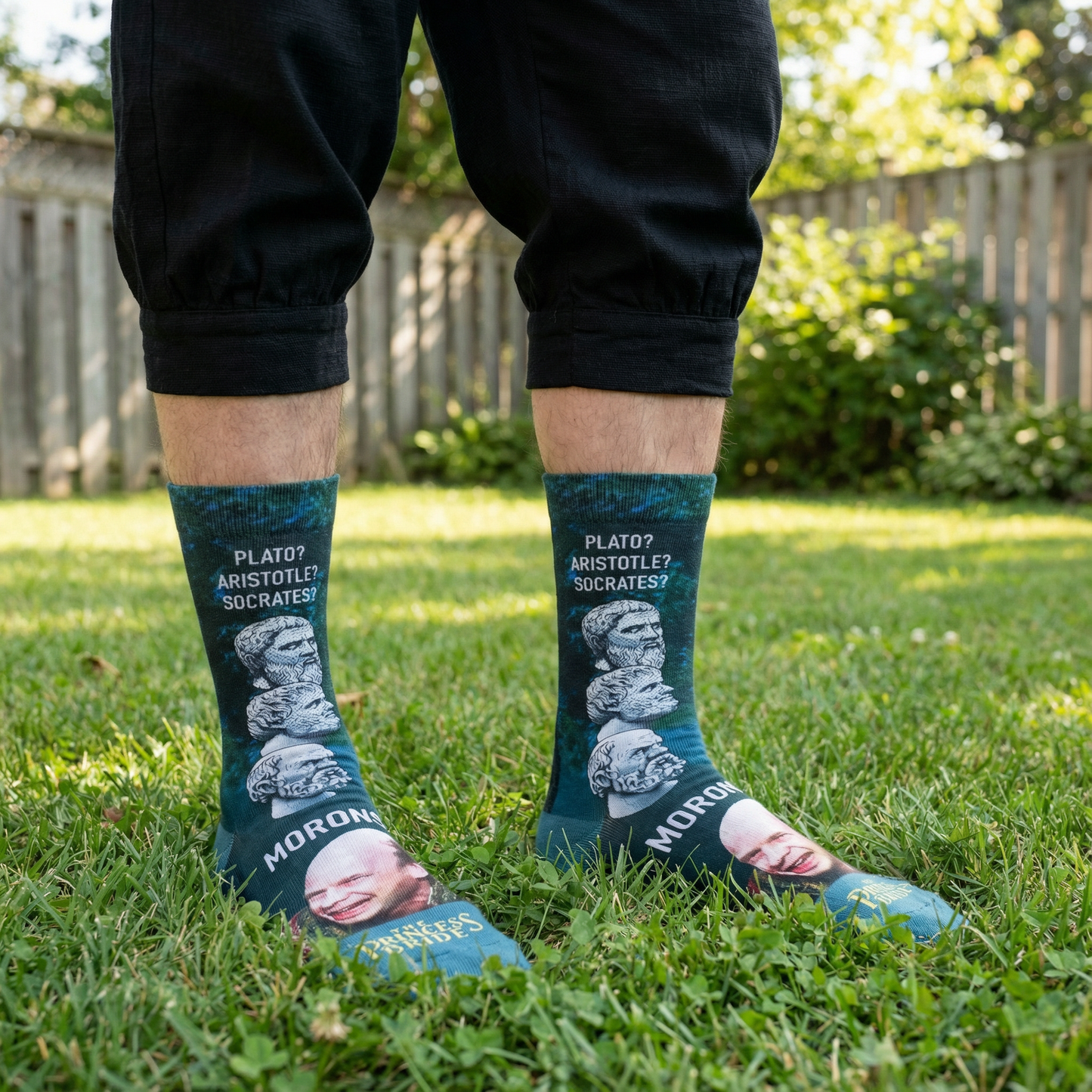 The Princess Bride “Morons” Men's Socks | Funny Movie Quote Socks