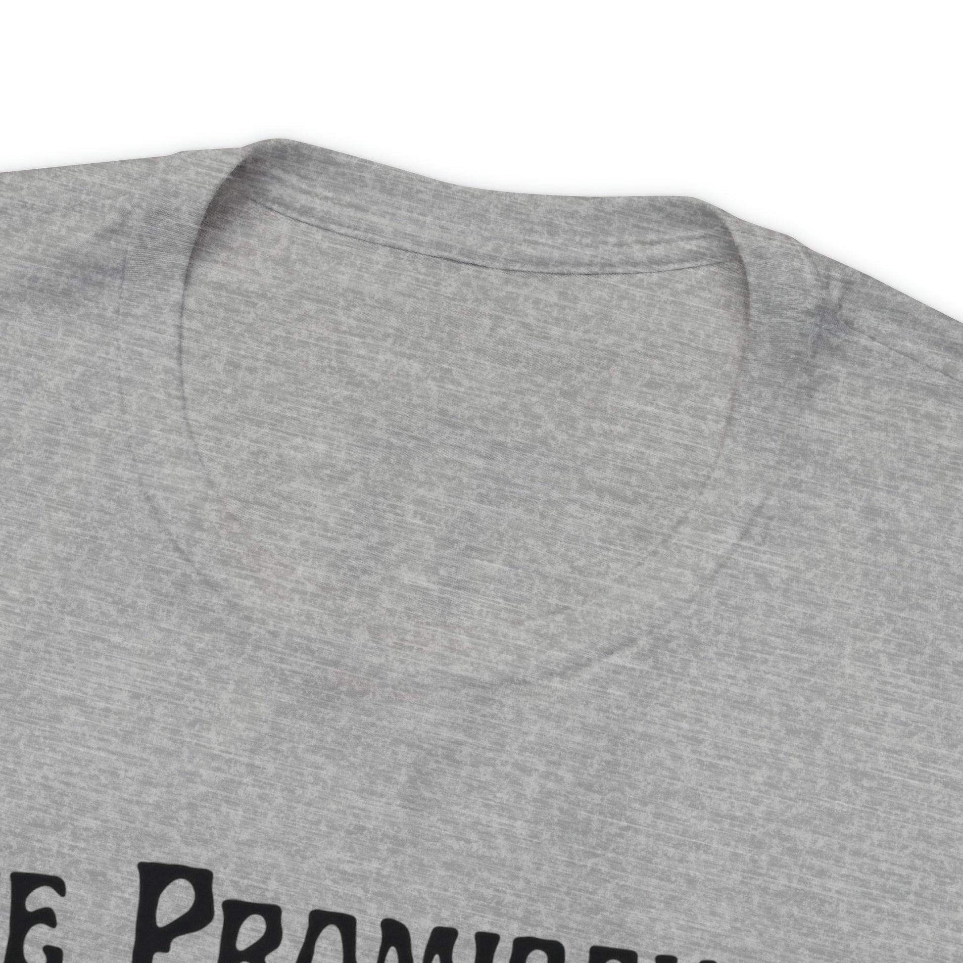 The Promiscuous Unisex Short Sleeve Tee [Multiple Color Options]