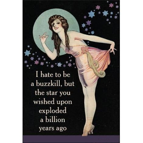 The Star You Wished Upon Exploded a Billion Years Ago Funny Magnet | Sarcastic Novelty Fridge Magnet-Ephemera-The Bullish Store