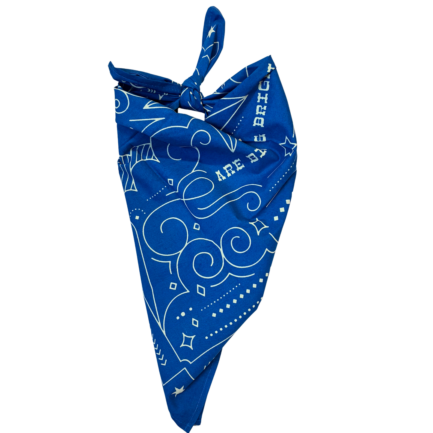 The Stars at Night Are Big & Bright Texas Bandana | Cotton Headwrap Scarf | 22'' x 22''