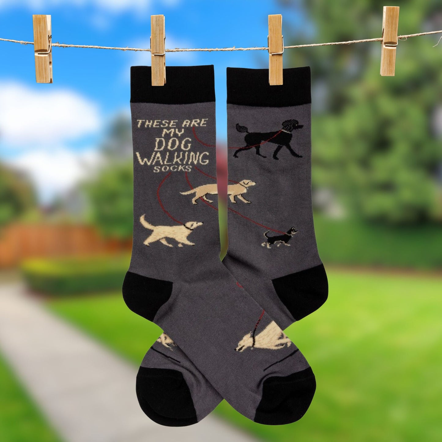 These Are My Dog Walking Socks | Black Gray Funny Novelty Socks with Cool Design | Specialty Dress Socks