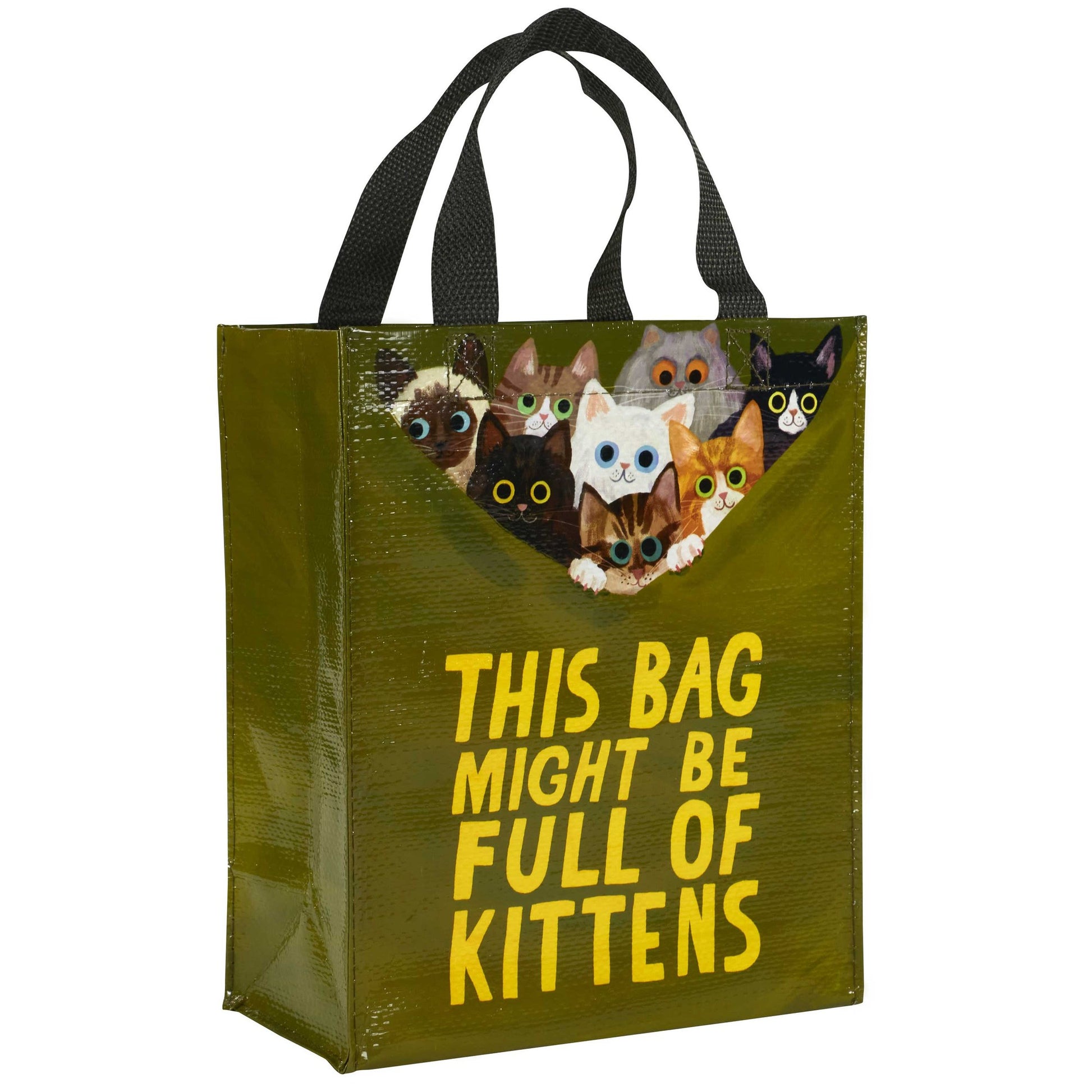 This Bag Might Be Full Of Kittens Handy Tote Bag | Reusable Lunch Gift Bag | 10" x 8.5" | BlueQ at GetBullish