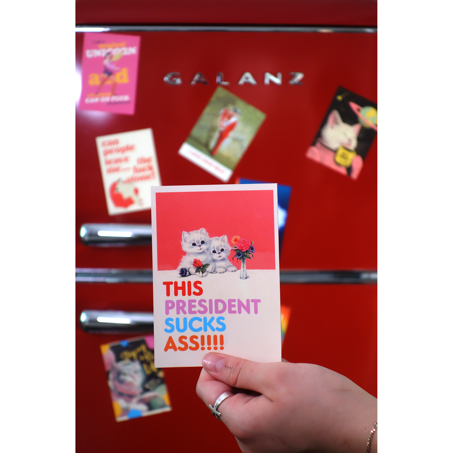 This President Sucks Ass Magnet Funny Political Cat Magnet | Soft Vinyl Fridge Magnet