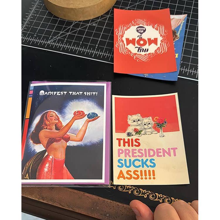 This President Sucks Ass Magnet Funny Political Cat Magnet | Soft Vinyl Fridge Magnet