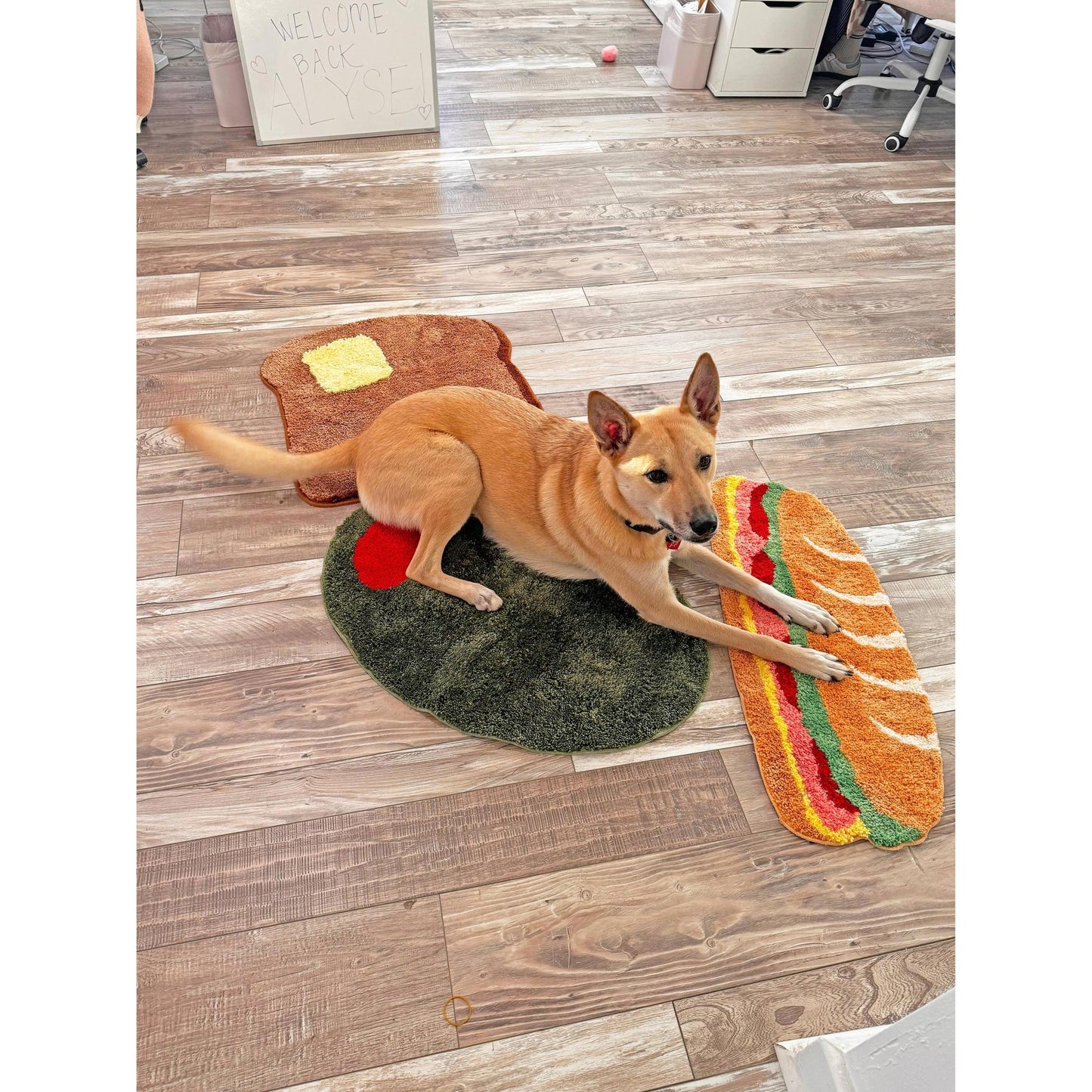 Toast Bread Ultrasoft Rug | Slip Resistant Door Mat 22" x 24