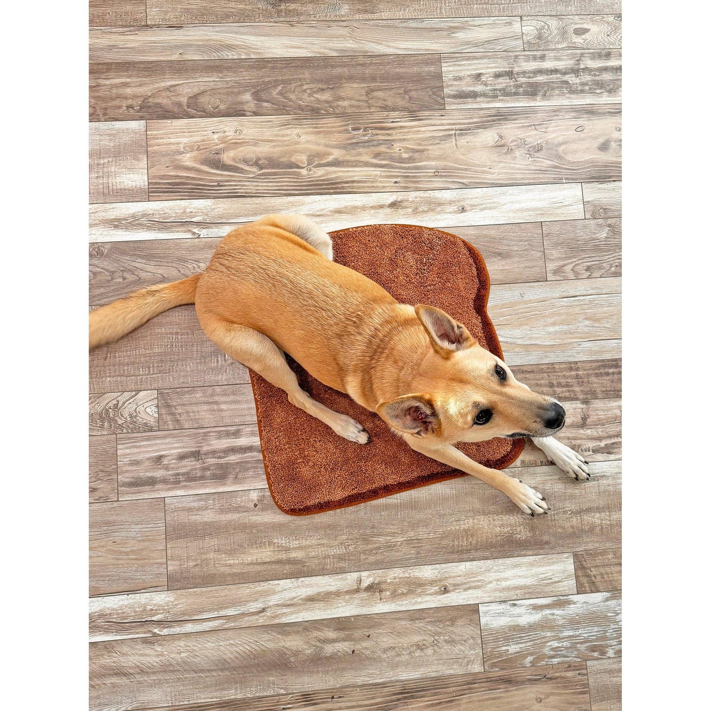 Toast Bread Ultrasoft Rug | Slip Resistant Door Mat 22" x 24