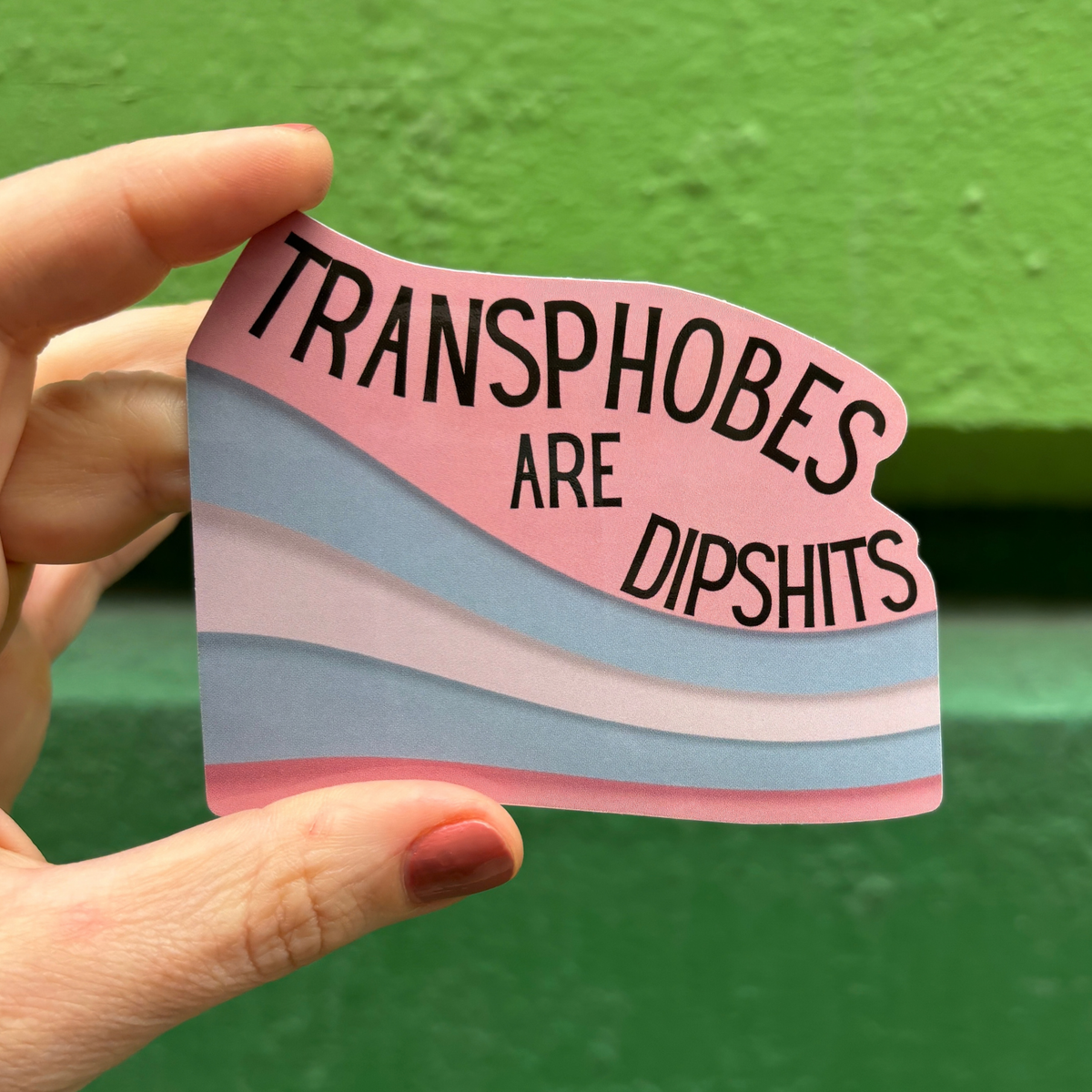 Transphobes Are Dipshits Die Cut Vinyl Sticker-GetBullish-The Bullish Store