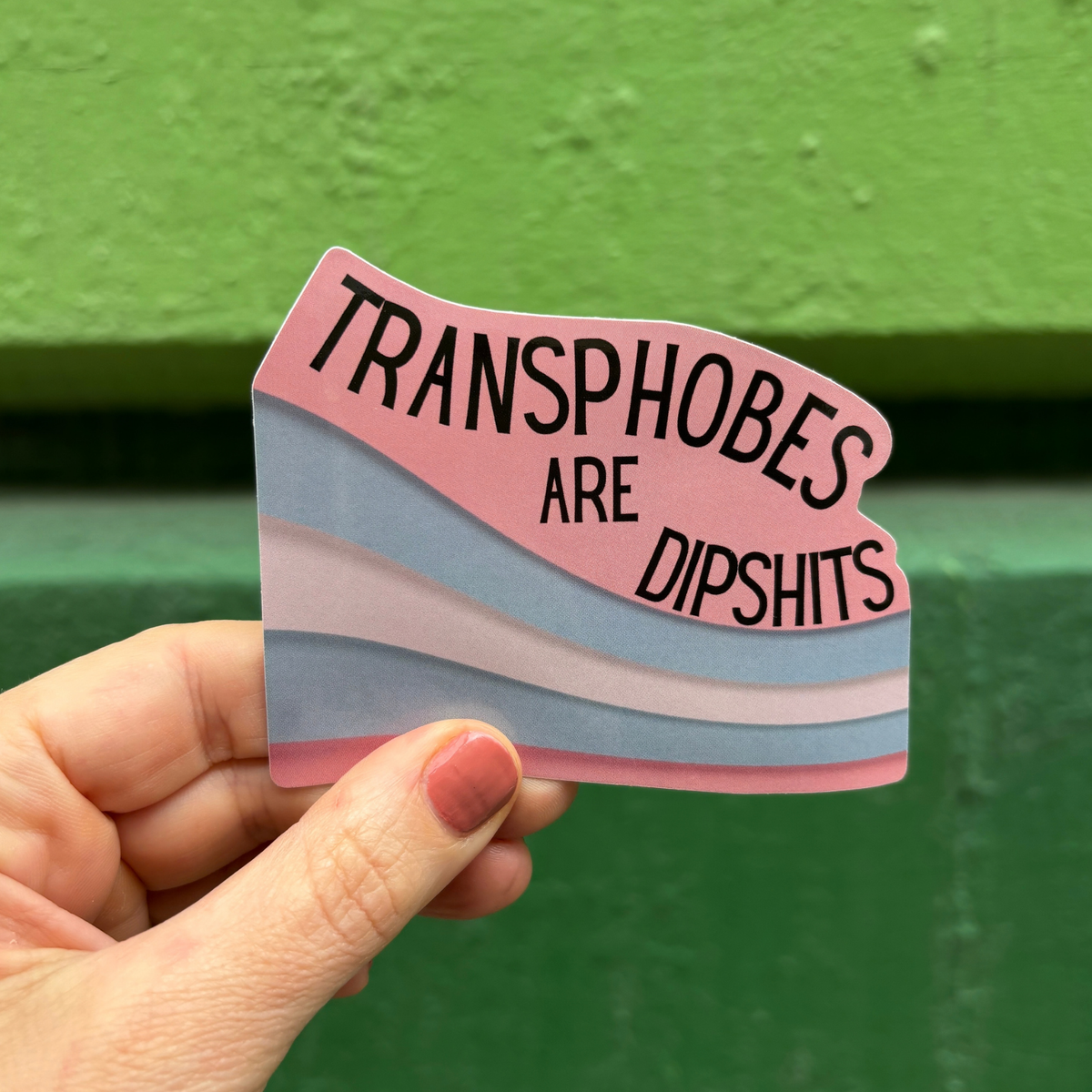 Transphobes Are Dipshits Die Cut Vinyl Sticker-GetBullish-The Bullish Store