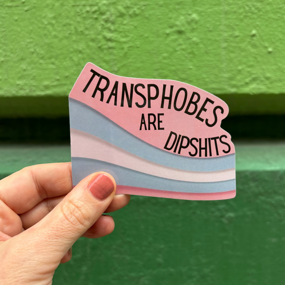 Transphobes Are Dipshits Die Cut Vinyl Sticker-GetBullish-The Bullish Store