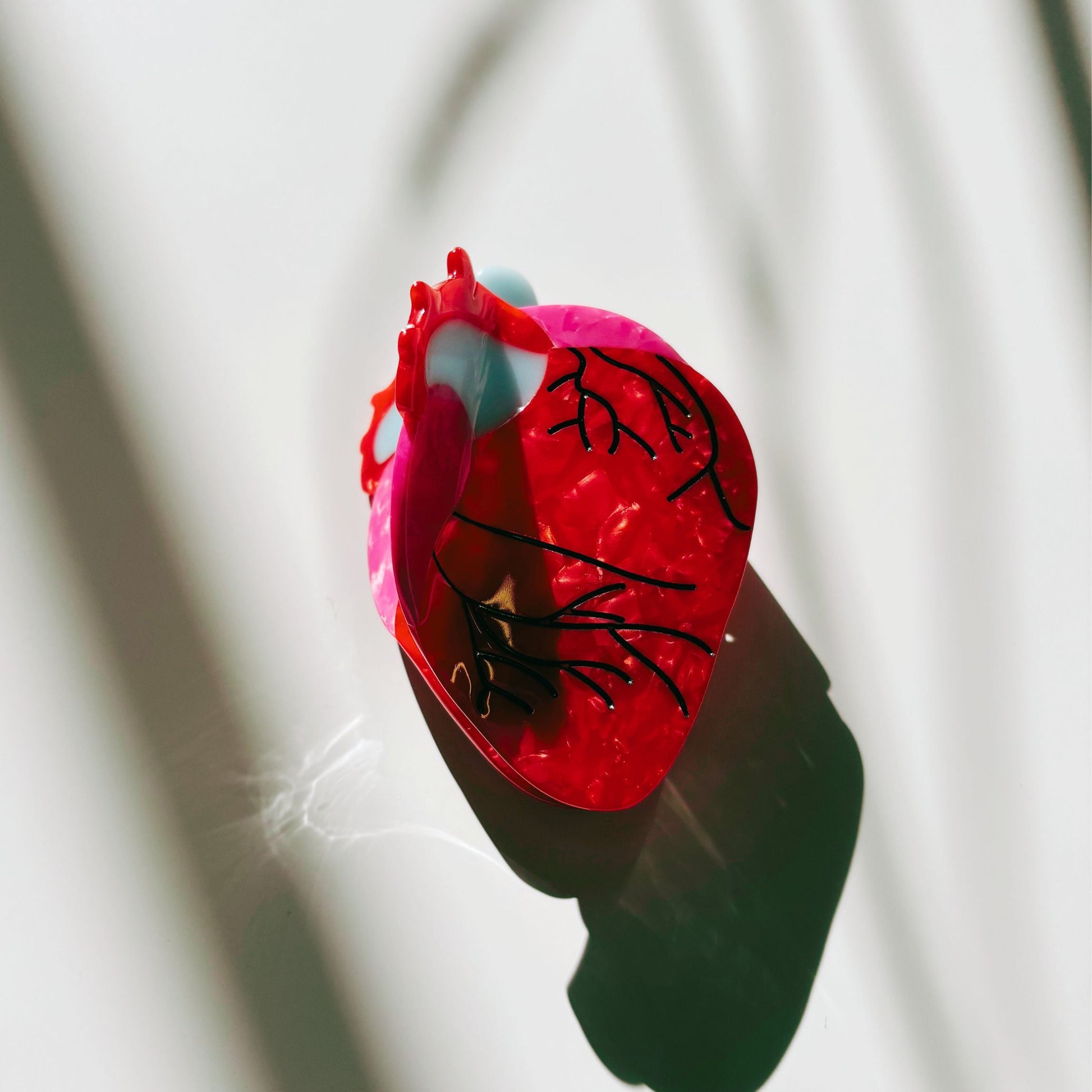 Velvet Claws Anatomical Heart Hair Clip | Red Heart Shaped Claw Clip in Velvet Travel Bag