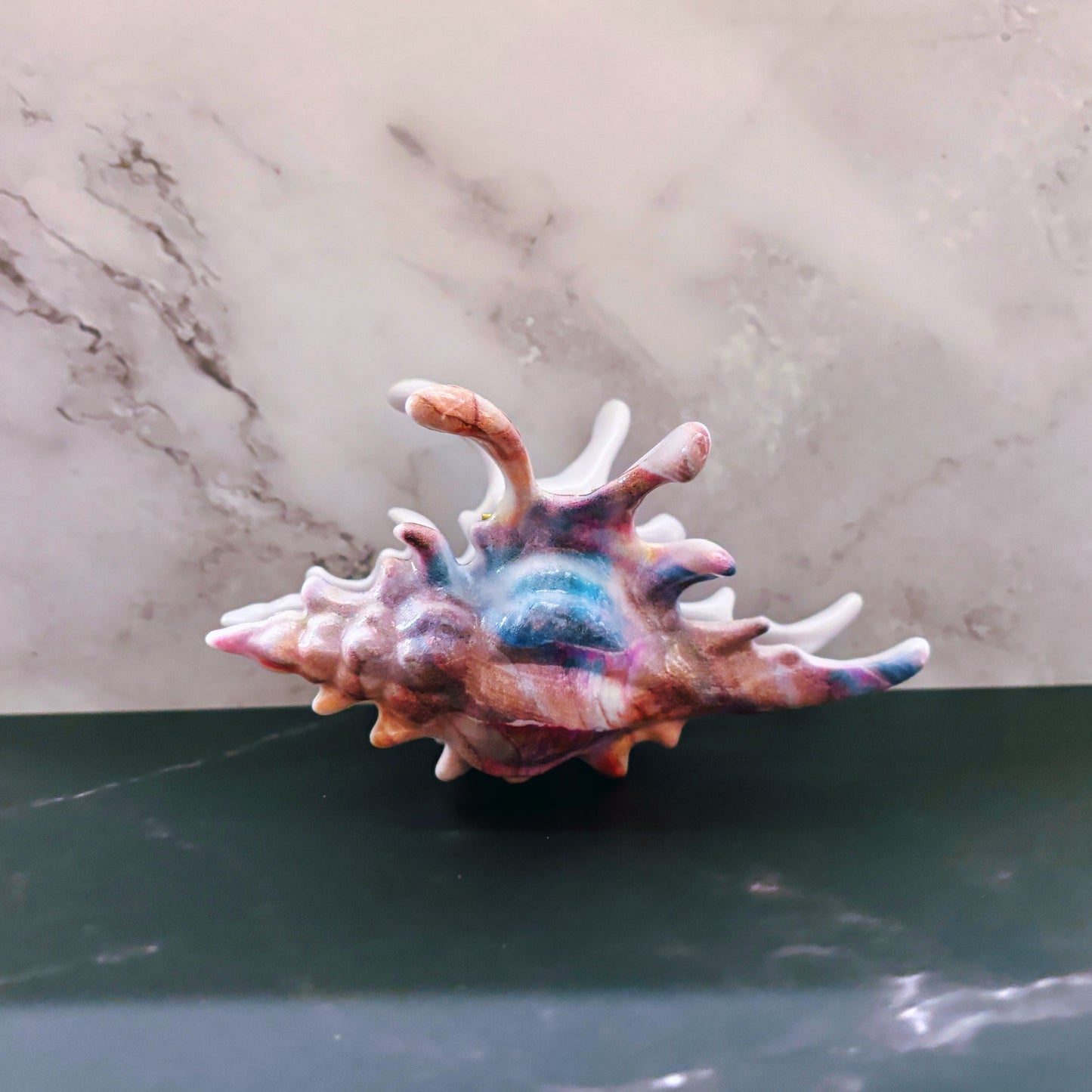 Velvet Claws Realistic Conch Shell Hair Claw in Mermaid Colors