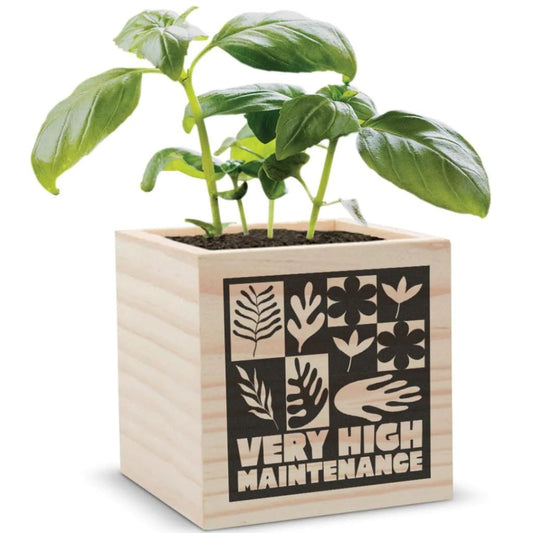 Very High Maintenance Planter Box | Succulent Pot | Smartass & Sass at GetBullish