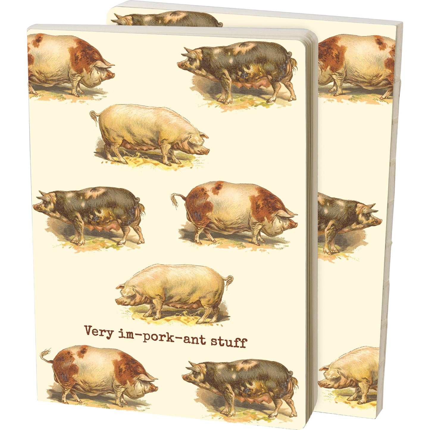 Very Im-Pork-Ant Stuff Double-Sided Journal | 160 Lined Pages Vintage-inspired Pig Designs Notebook