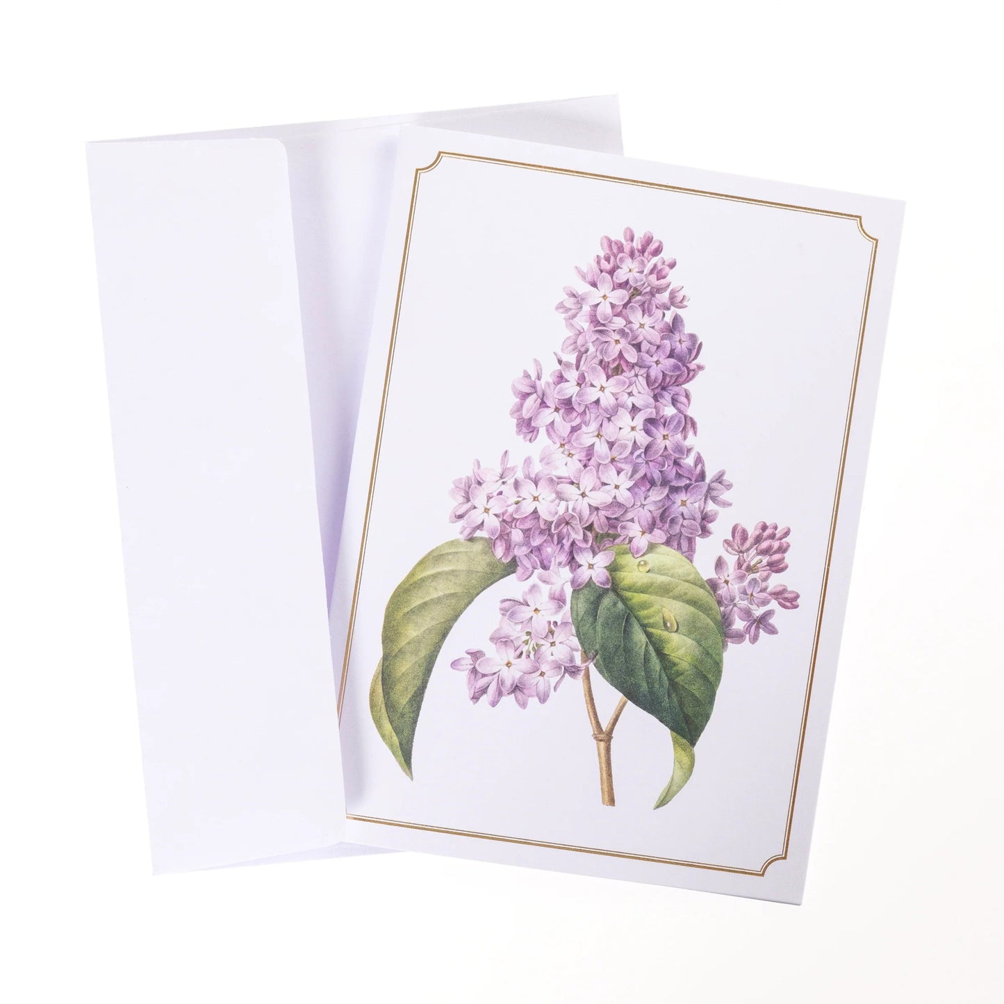Vintage Floral Greeting Cards in Keepsake Boxed | Personalized Note Cards | 4.25"x 6"