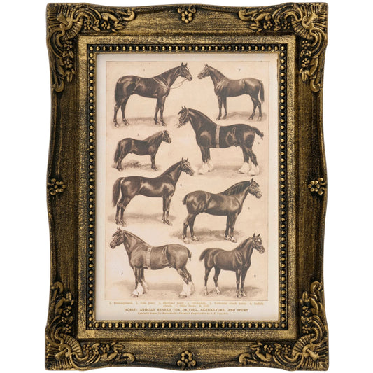 Decorative frame with vintage-style horse illustrations