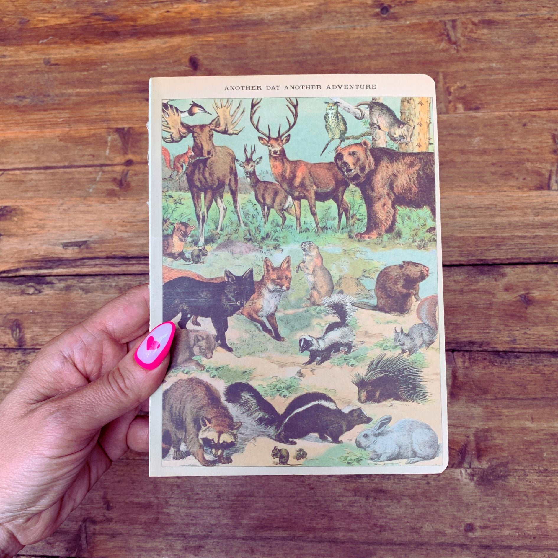 Vintage Zoologica Double-Sided Journal | " Another Day Another Adventure" Wild Animals Notebook