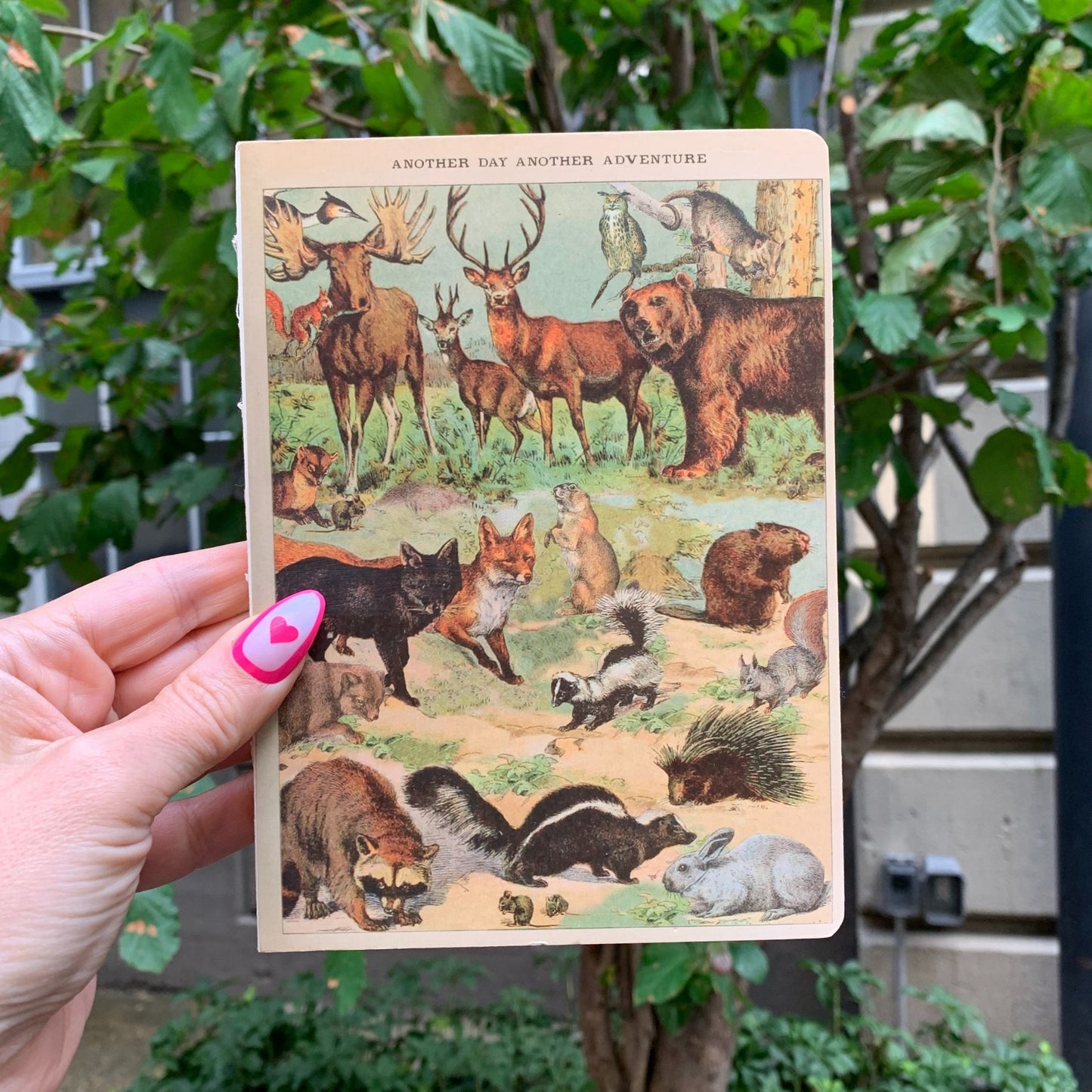 Vintage Zoologica Double-Sided Journal | " Another Day Another Adventure" Wild Animals Notebook