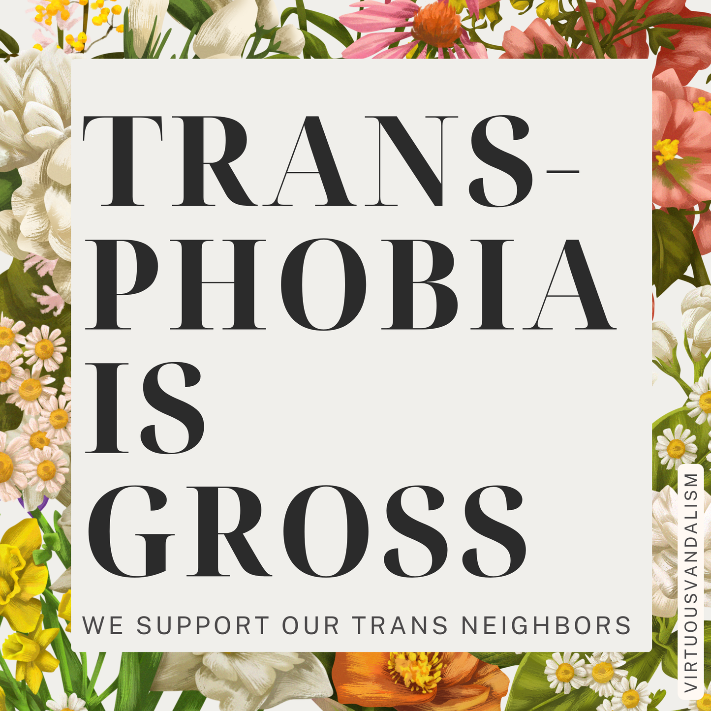 Virtuous Vandalism “Transphobia is Gross” Sticky Notes 3" x 3" Pack of 50 | Combat and Cover Offensive Public Messages with Adhesive Protest Notes