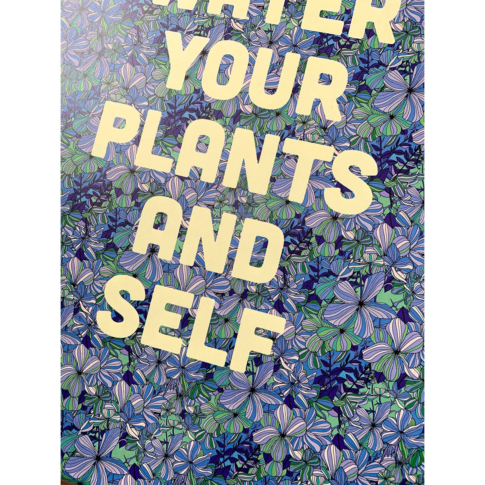 Water Your Plants And Self | 11 X 14 Art Print