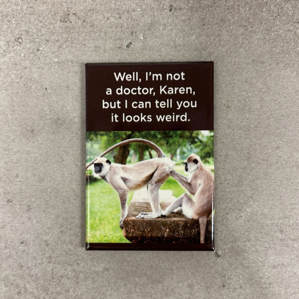 Well I'm Not a Doctor, Karen, But I Can Tell You It Looks Weird Funny Monkey Magnet | Humor Fridge Magnet