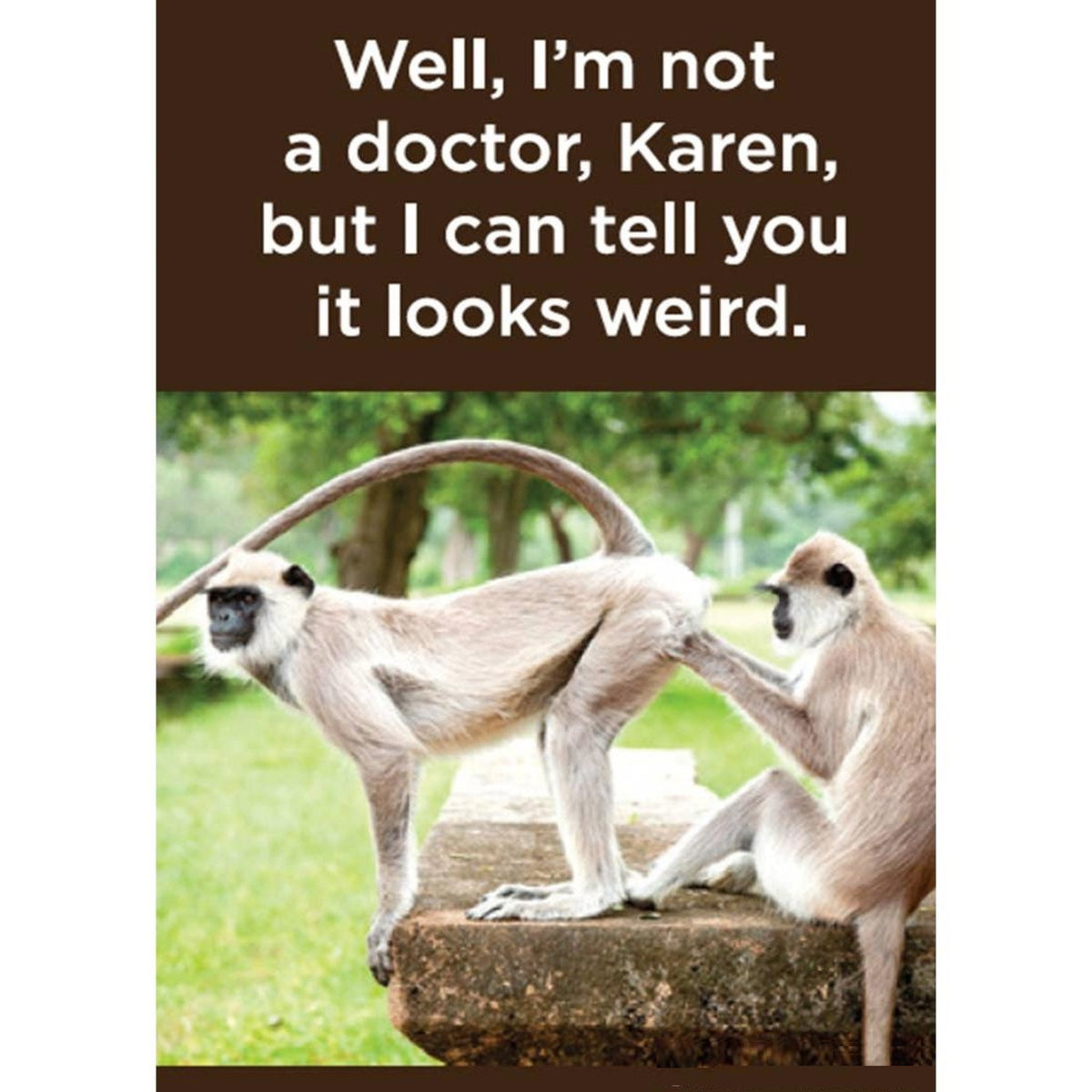 Well I'm Not a Doctor, Karen, But I Can Tell You It Looks Weird Funny Monkey Magnet | Humor Fridge Magnet-Ephemera-The Bullish Store