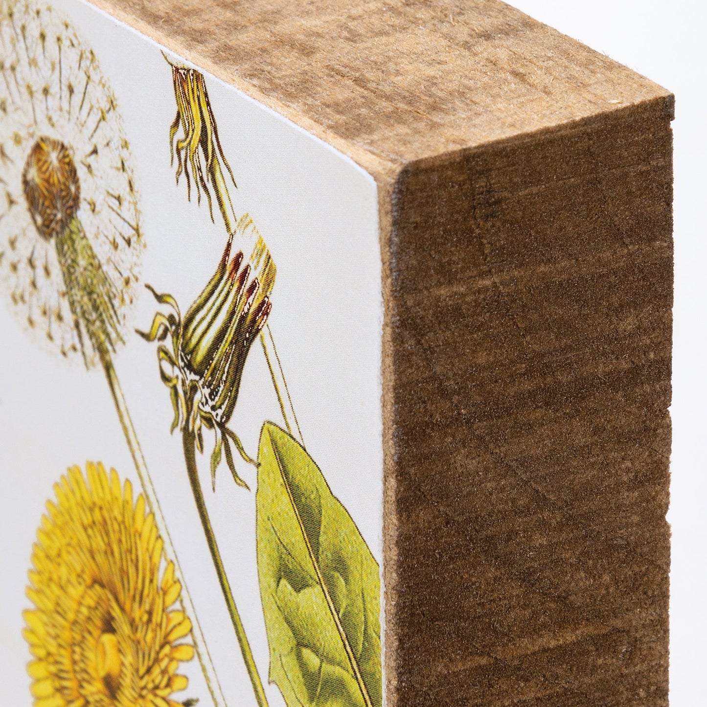 Well That's Just Dandy Dandelion Wooden Block Sign | 4" Square